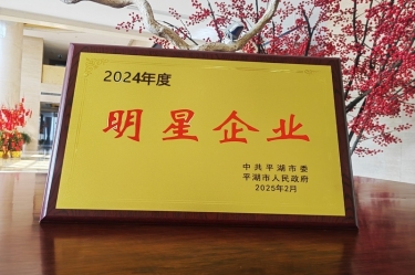 新春新景新氣象 | 景興紙業在平湖三干大會上喜摘榮譽！